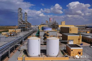 新杭能源與億利潔能首次注入乙二醇上市業(yè)務(wù)，拓展經(jīng)營性演出及經(jīng)紀業(yè)務(wù)新領(lǐng)域