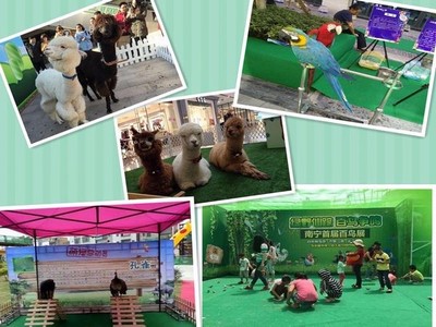 黔南州萌寵動物展覽與經(jīng)營性演出及經(jīng)紀(jì)業(yè)務(wù)費(fèi)用明細(xì)全解析